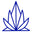DOWEEDO logo